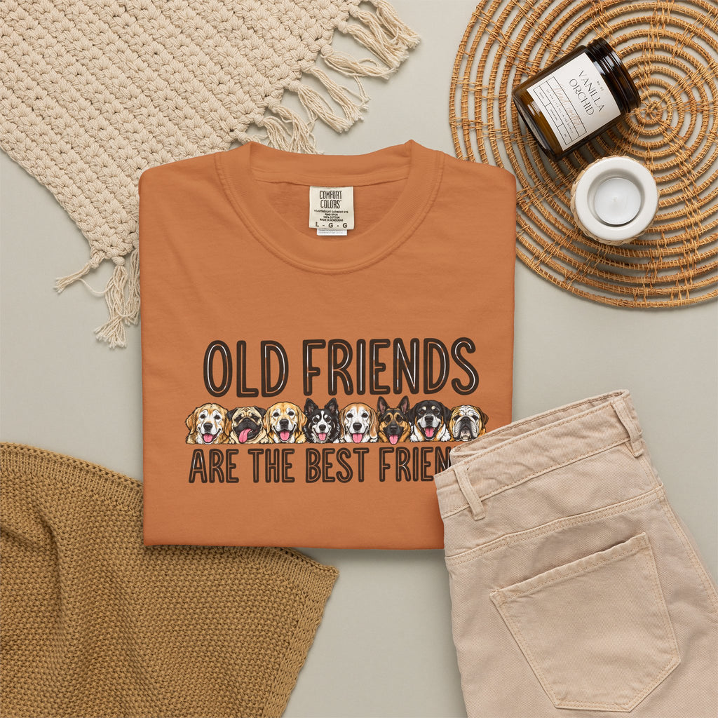 Senior dog tee reading "Old Friends Are the Best Friends", photo 6