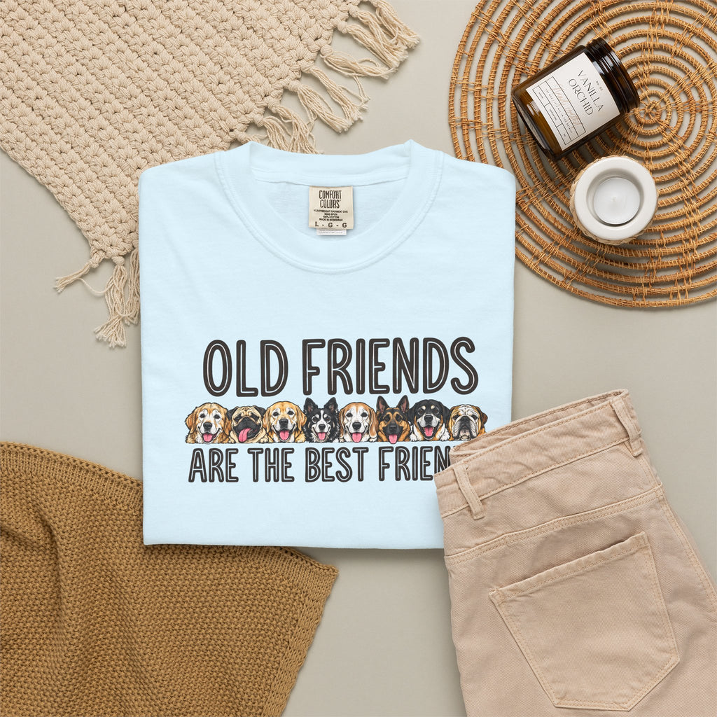 Senior dog tee reading "Old Friends Are the Best Friends", photo 10